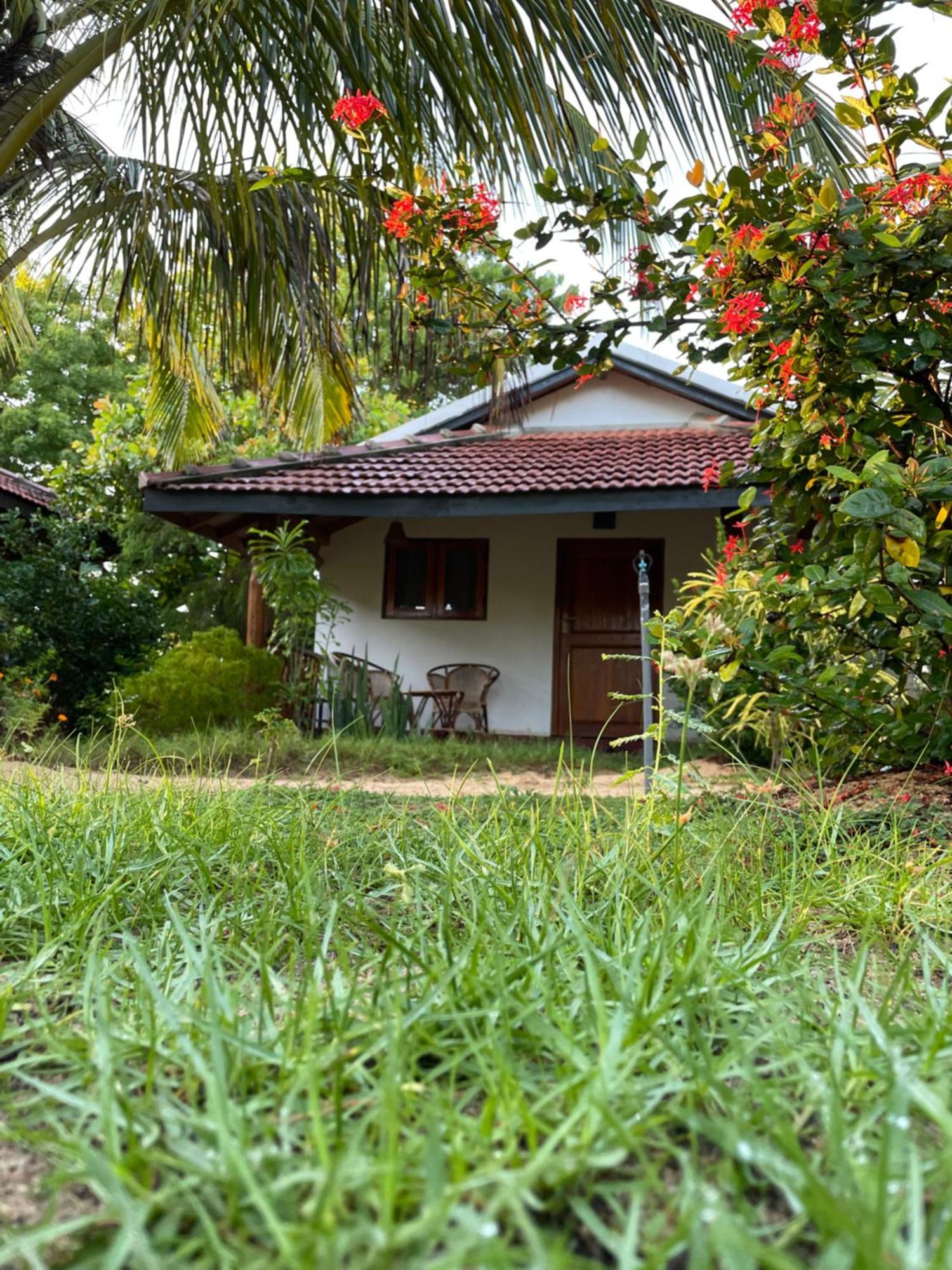 Prime Surfers Bungalow Arugam Bay Exterior foto